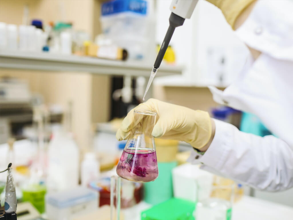 Dental Care - DR HADI CLINIC